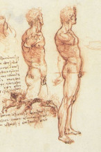 Репродукция картины "the anatomy of a male nude and a battle scene" художника "да винчи леонардо"