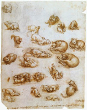 Репродукция картины "study sheet with cats, dragon and other animals" художника "да винчи леонардо"