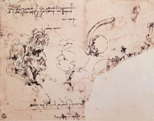 Репродукция картины "study sheet" художника "да винчи леонардо"
