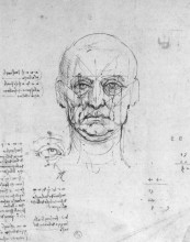 Картина "study on the proportions of head and eyes" художника "да винчи леонардо"