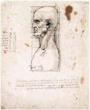 Картина "bust of a man in profile with measurements and notes" художника "да винчи леонардо"