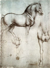 Репродукция картины "study of horses" художника "да винчи леонардо"