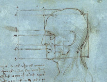 Репродукция картины "the proportions of the head" художника "да винчи леонардо"