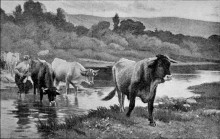 Картина "le soir dans les rami&#232;res" художника "деба-понсан эдуард"