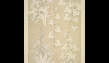 Картина "leaves and flowers from nature ornament no. 3. ivy-leaves, full size" художника "джонс оуэн"