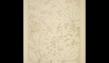 Картина "leaves and flowers from nature ornament no. 4. leaves of the oak, fig tree, maple, white bryony, laurel, and bay-tree, full size" художника "джонс оуэн"