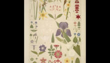 Репродукция картины "leaves and flowers from nature ornament no. 8. various flowers in plan and elevations." художника "джонс оуэн"