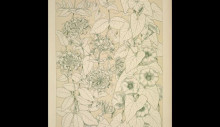 Копия картины "leaves and flowers from nature ornament no. 9. honeysuckle and convolvulus, full size" художника "джонс оуэн"