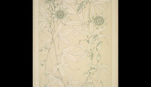 Картина "leaves and flowers from nature ornament no. 10. passion flowers" художника "джонс оуэн"