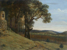 Репродукция картины "field near pencerrig" художника "джонс томас"
