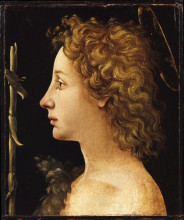 Репродукция картины "the young saint john the baptist" художника "ди козимо пьеро"