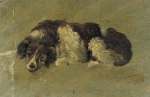 Репродукция картины "a dog" художника "дусбург тео ван"