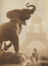 Картина "elephantasy" художника "дюбрёй пьер"