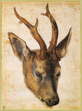 Репродукция картины "голова оленя" художника "дюрер альбрехт"