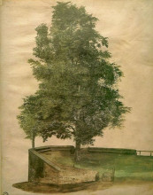 Копия картины "липа на бастионе" художника "дюрер альбрехт"