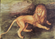 Репродукция картины "лев" художника "дюрер альбрехт"