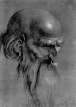 Репродукция картины "голова апостола" художника "дюрер альбрехт"