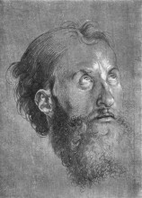 Картина "голова апостола, смотрящего вверх" художника "дюрер альбрехт"