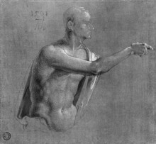 Картина "верхняя часть тела христа" художника "дюрер альбрехт"