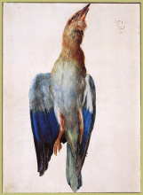Репродукция картины "мертвая синяя птица" художника "дюрер альбрехт"