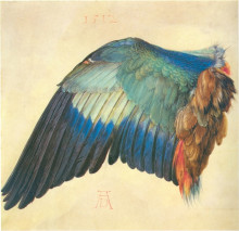 Репродукция картины "крыло сизоворонки" художника "дюрер альбрехт"
