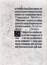 Копия картины "страницы с маргиналиями для молитвенника императора максимилиана" художника "дюрер альбрехт"