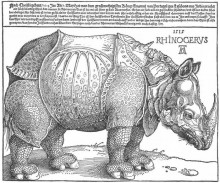 Репродукция картины "носорог" художника "дюрер альбрехт"