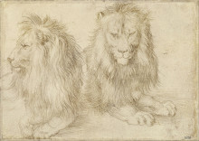 Репродукция картины "two seated lions" художника "дюрер альбрехт"