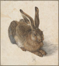 Копия картины "заяц" художника "дюрер альбрехт"
