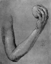 Копия картины "рука евы" художника "дюрер альбрехт"