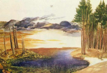 Репродукция картины "пруд в лесу" художника "дюрер альбрехт"