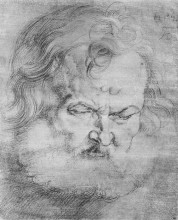 Репродукция картины "голова петра" художника "дюрер альбрехт"