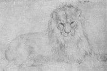 Копия картины "лев" художника "дюрер альбрехт"