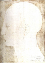 Копия картины "мужская голова в профиль" художника "дюрер альбрехт"