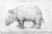 Копия картины "носорог" художника "дюрер альбрехт"