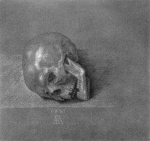 Репродукция картины "череп" художника "дюрер альбрехт"