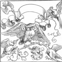 Репродукция картины "битва совы с другими птицами" художника "дюрер альбрехт"