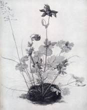 Репродукция картины "кусок дёрна с орликом" художника "дюрер альбрехт"