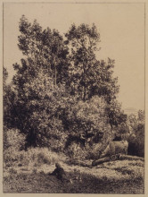 Репродукция картины "landscape with cows" художника "жак шарль эмиль"