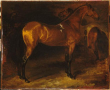 Репродукция картины "spanish horse&#160;in a&#160;stable" художника "жерико теодор"
