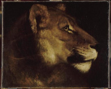 Репродукция картины "the head of lion" художника "жерико теодор"