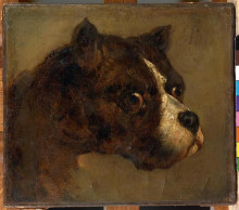 Репродукция картины "the head of&#160;bulldog" художника "жерико теодор"