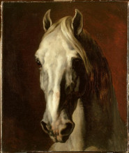 Репродукция картины "the head of&#160;white horse" художника "жерико теодор"
