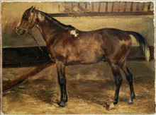 Репродукция картины "brown horse in the stalls" художника "жерико теодор"