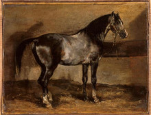 Репродукция картины "gray&#160;horse&#160;rack" художника "жерико теодор"