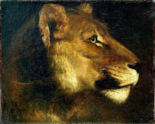 Картина "head&#160;of lioness" художника "жерико теодор"