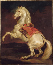 Репродукция картины "napoleon&#39;s stallion, tamerlan" художника "жерико теодор"