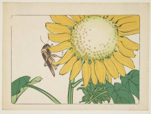 Копия картины "grasshopper and sunflower" художника "зешин шибата"