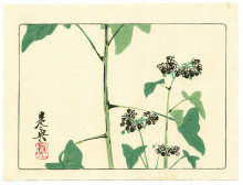 Копия картины "flowering plant - hana kurabe" художника "зешин шибата"