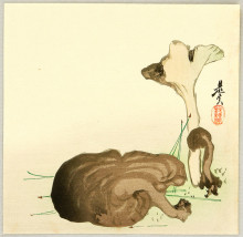 Репродукция картины "wild mushrooms" художника "зешин шибата"